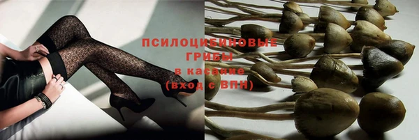 каннабис Белокуриха