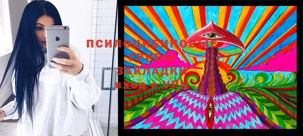 Альфа ПВП Россошь