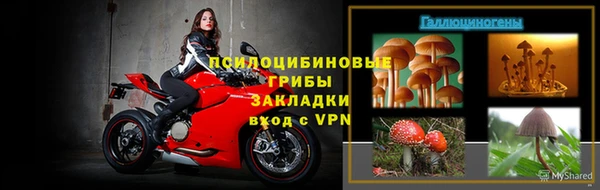 каннабис Белокуриха