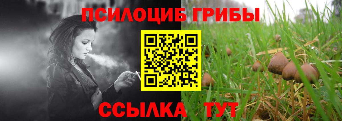 Псилоцибиновые грибы ЛСД  Вход с VPN  Саяногорск 